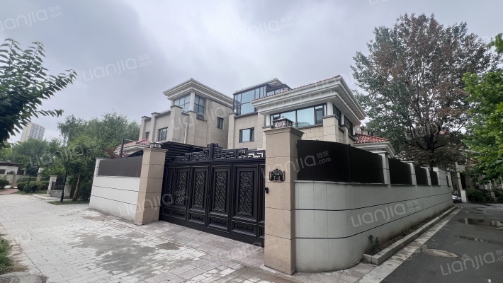 大华上海滩艺墅外景图