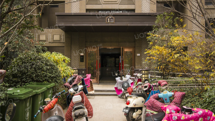 橄榄城伍号院外景图