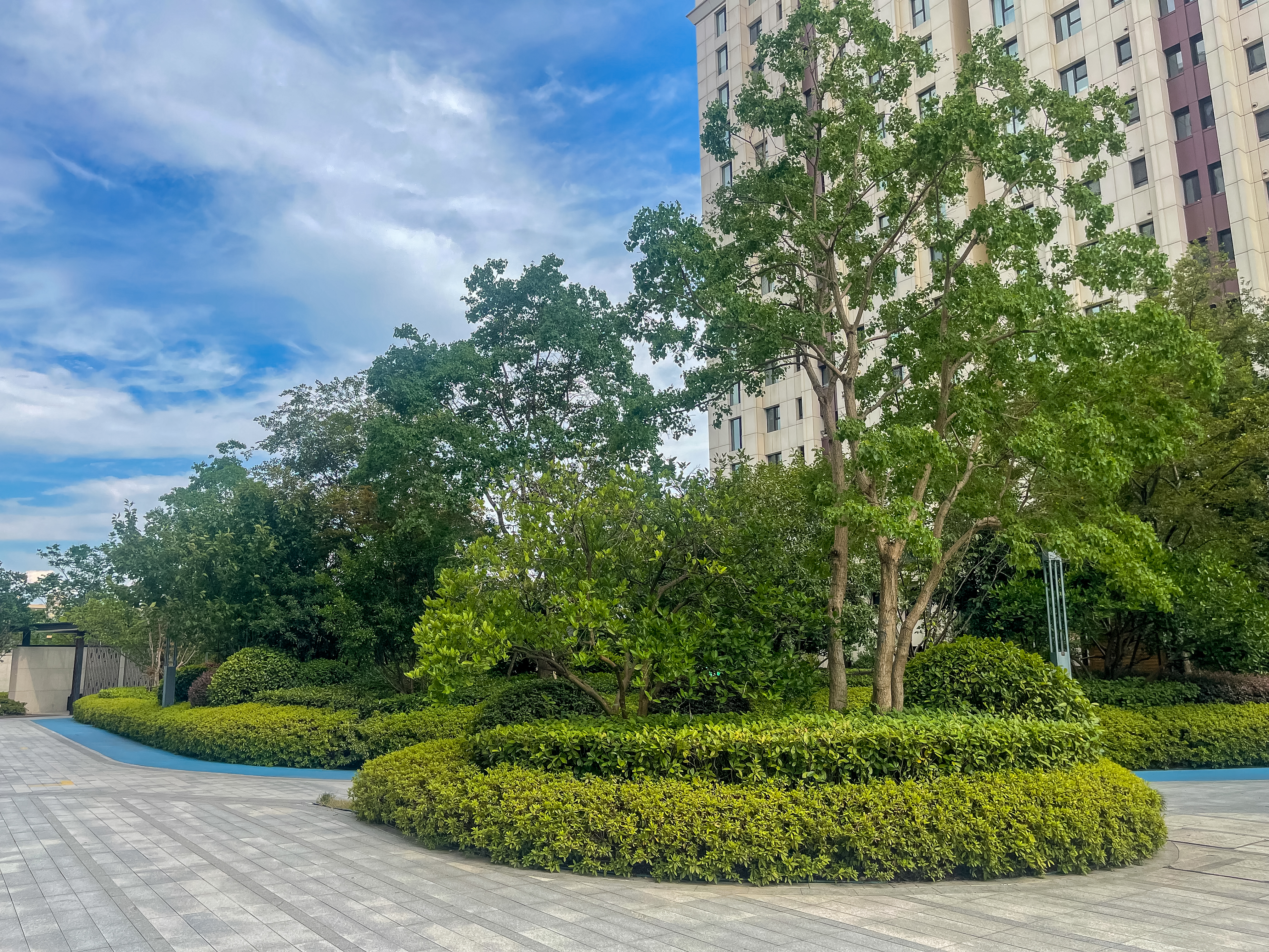 朗诗熙华府小区实景 11