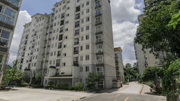 荷塘月色外景图