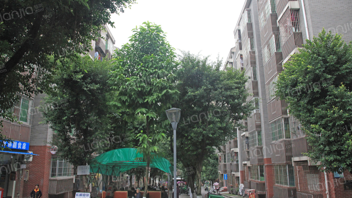 水竹苑1区外景图