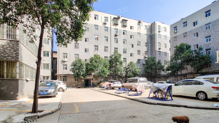 尚东城小区南区外景图