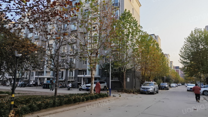 加洲阳光外景图