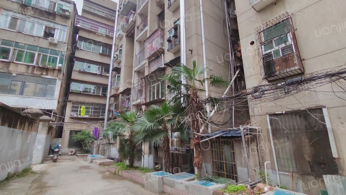 小车队集资房外景图