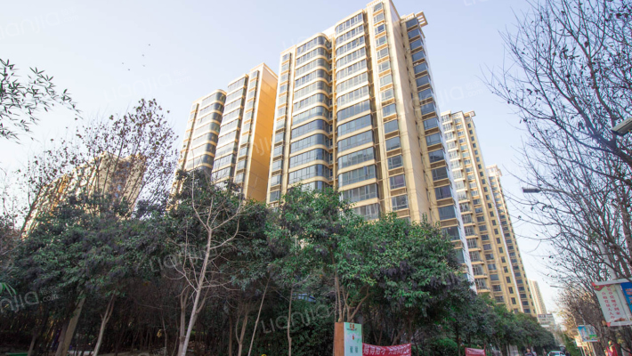 玫瑰花园外景图