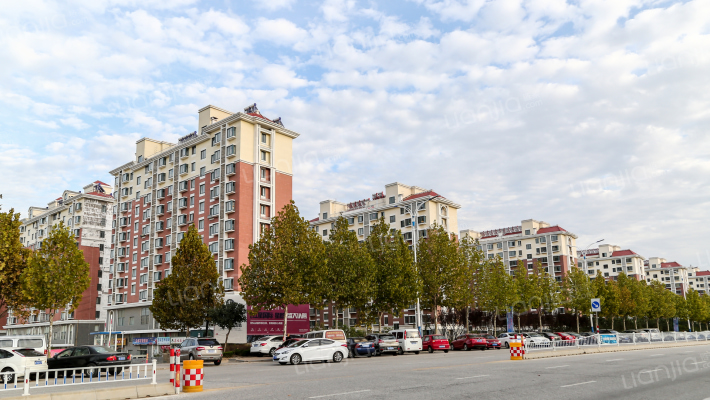 柏林春天外景图