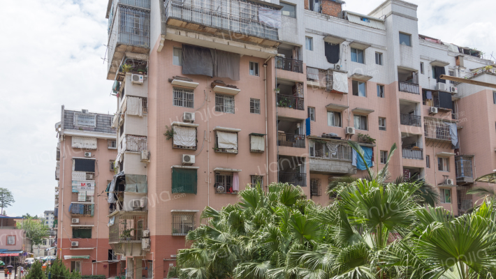 南台新苑梅花园外景图