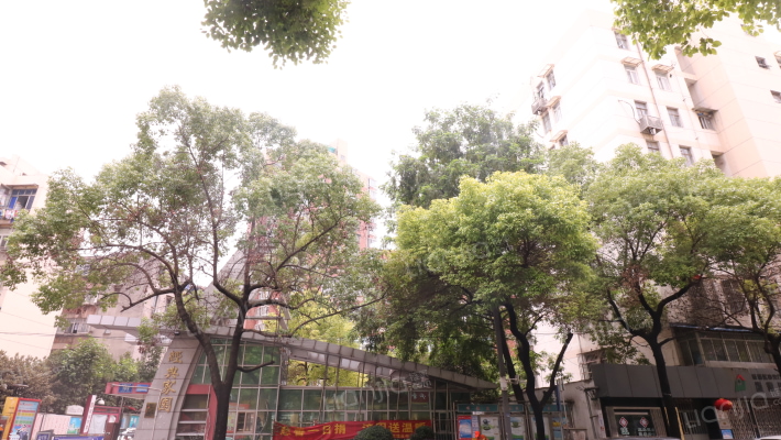 经典家园外景图