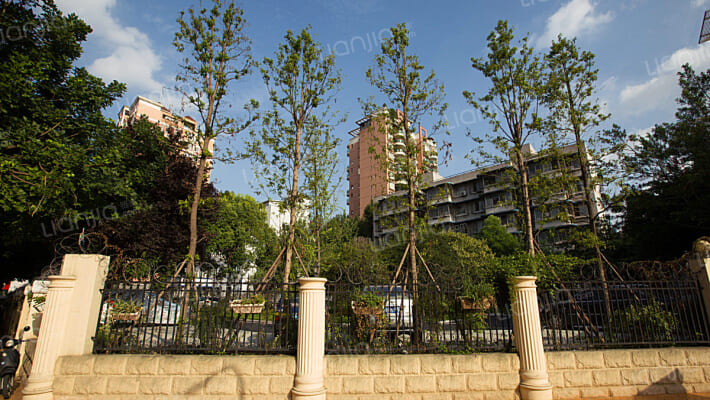 桐梓林北路1号外景图