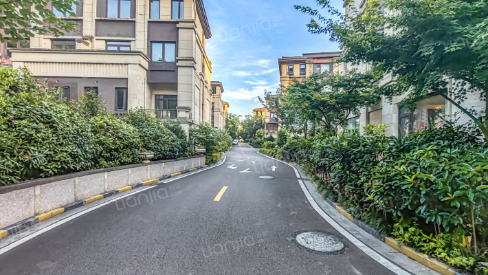 九龙湖畔外景图