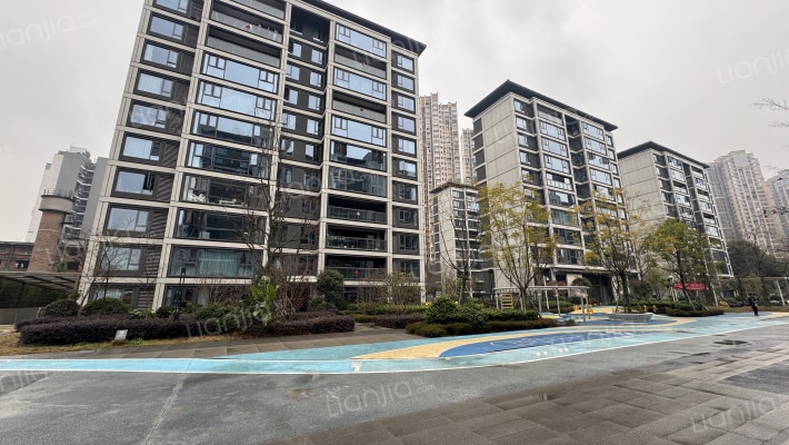 金成光华壹品外景图