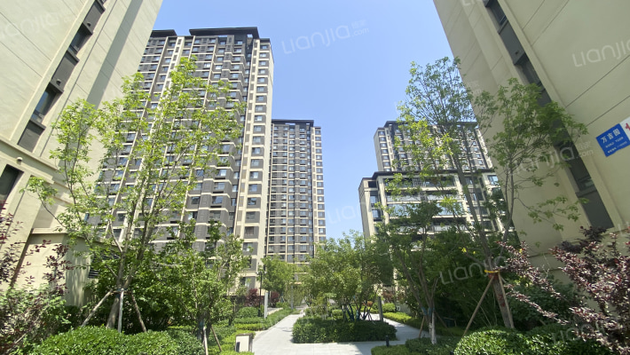 金地保利招商星光照澜外景图