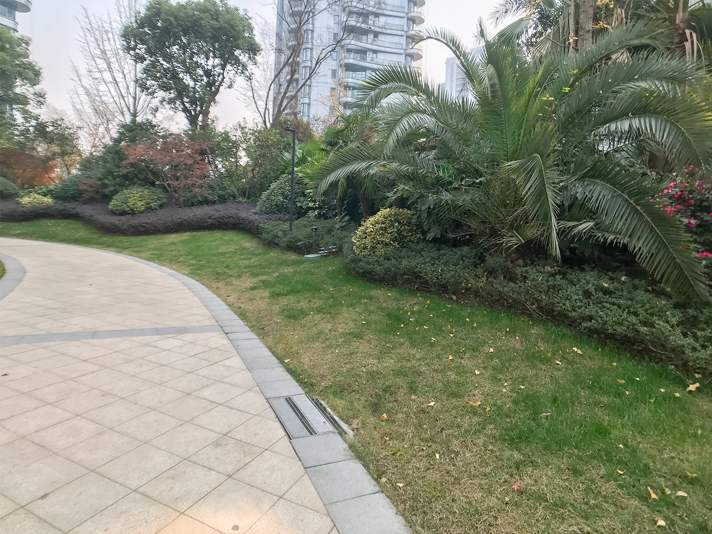 东方御府小区实景 25