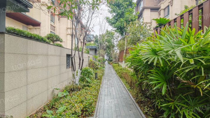 金茂墅倾城外景图