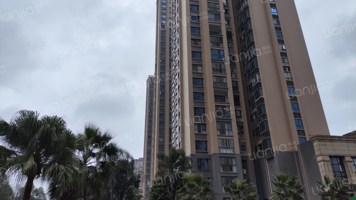 愿景芬芳源外景图