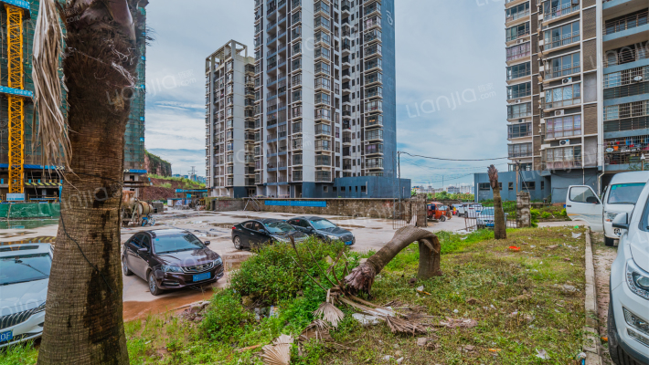 东湾桃花苑外景图