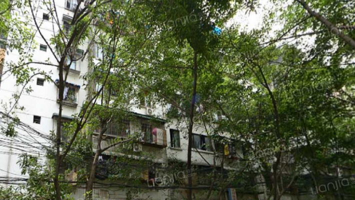 棕南东街3号外景图