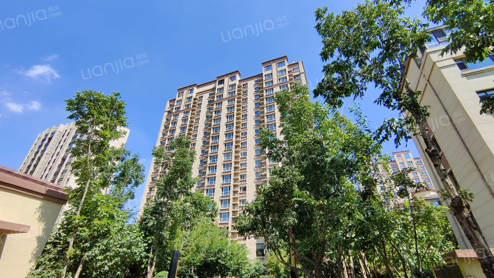 龙湖花千树外景图