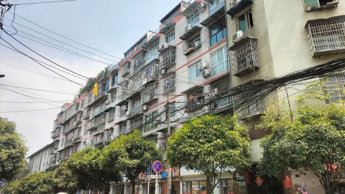 西河镇东街外景图