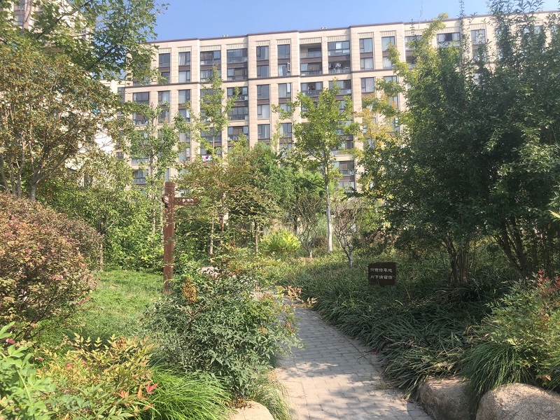 德信·东望府小区实景 12