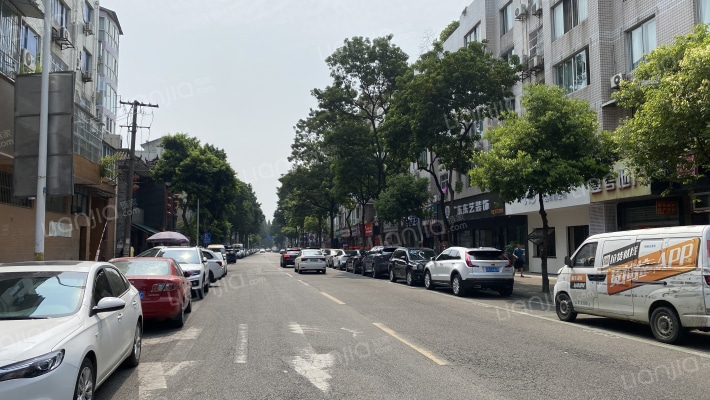 海棠金宇外景图