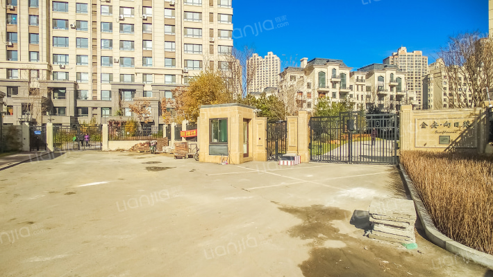 金安·向日葵外景图