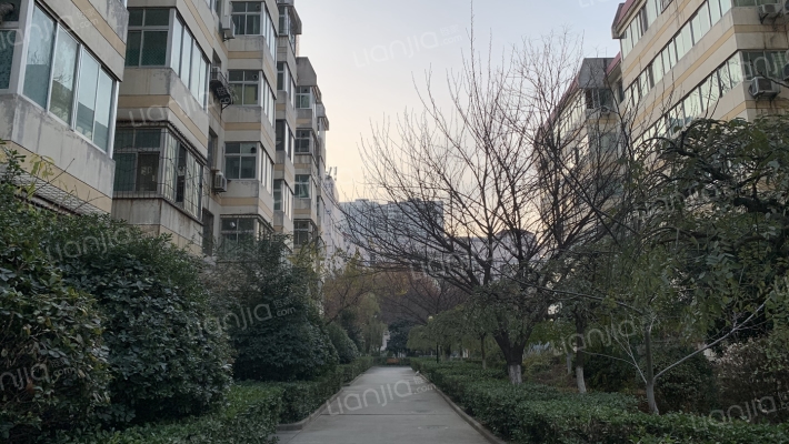 陕交院家属院外景图