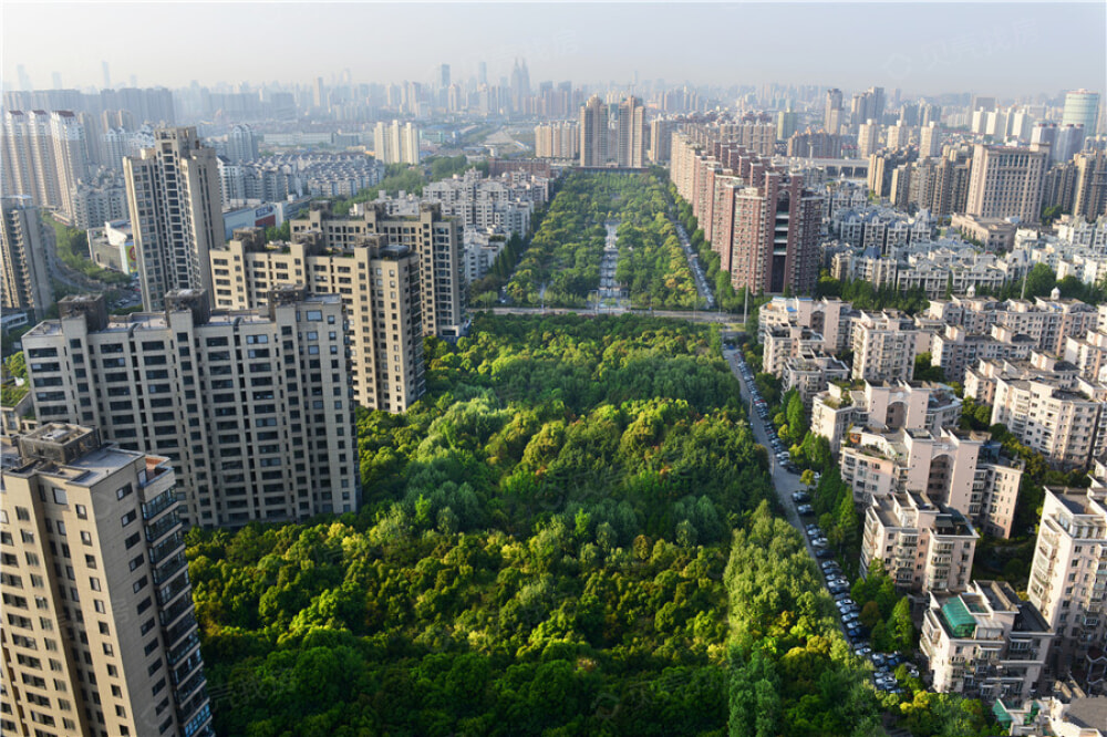 中鹰黑森林相册