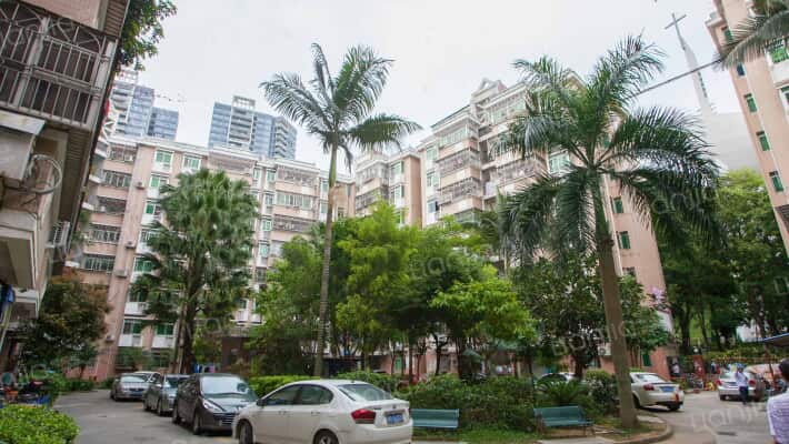 新活力花园外景图