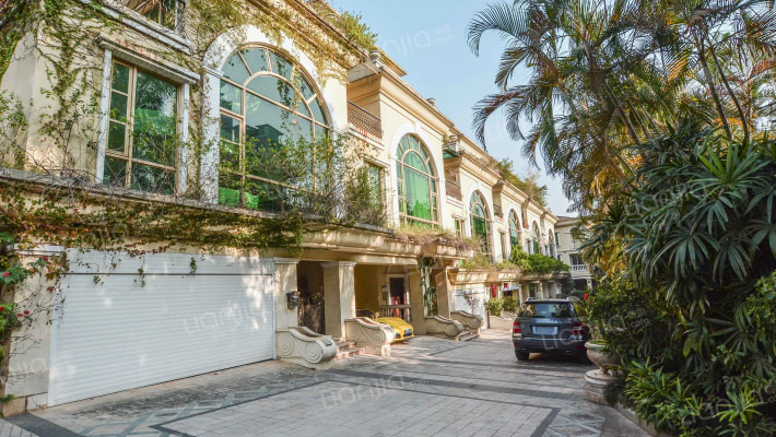 棕榈泉别墅二期外景图