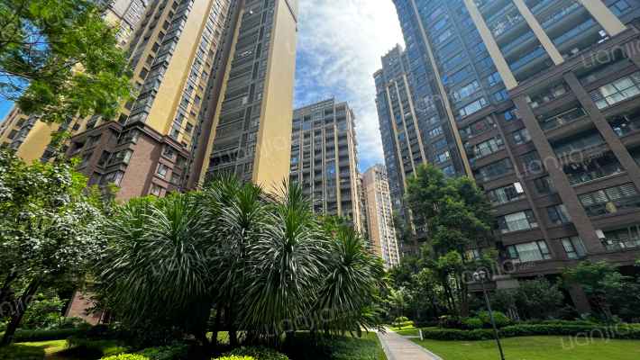 牧云溪谷四期云峯外景图