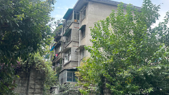 红阳巷4号外景图