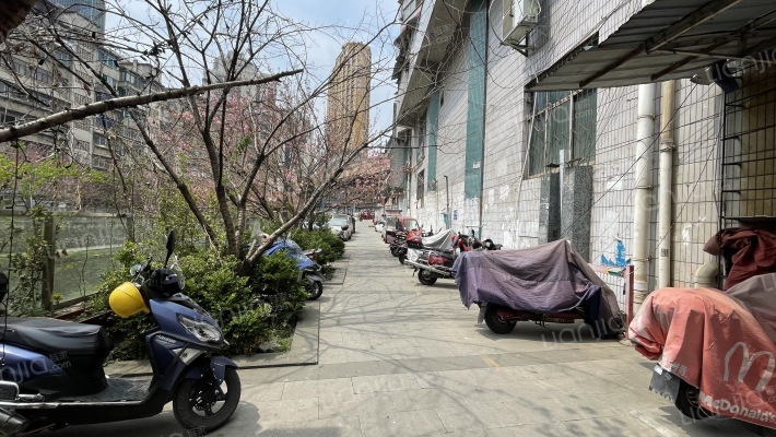 市西路6号外景图