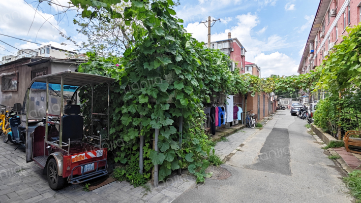 新居西里外景图