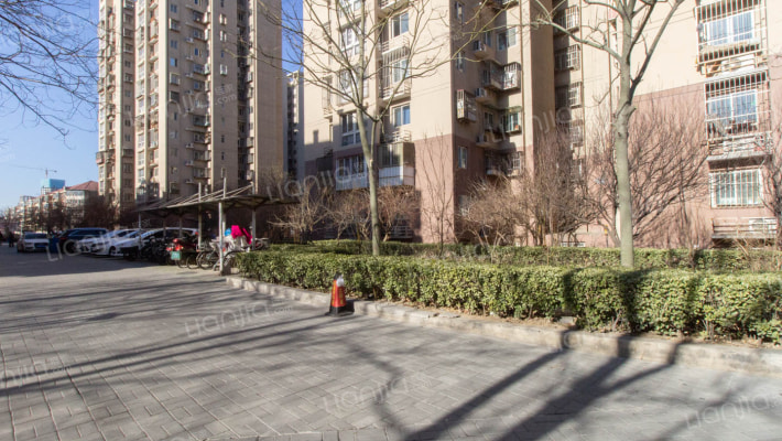 金堂家园外景图