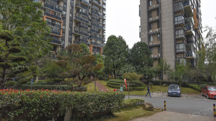 博林金谷外景图