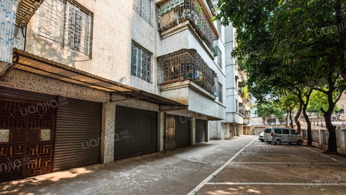 新湖二路3号外景图