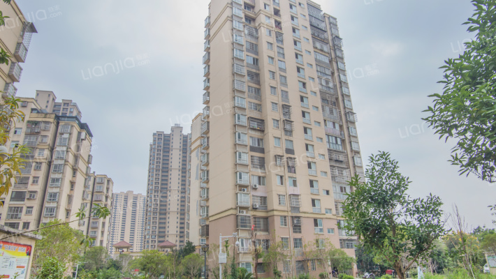 老洲公寓外景图