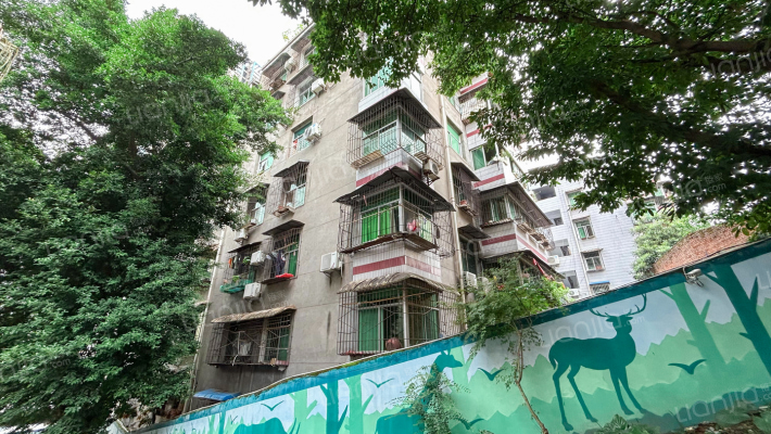 统计局家属院外景图