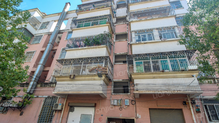 东联大道13号外景图