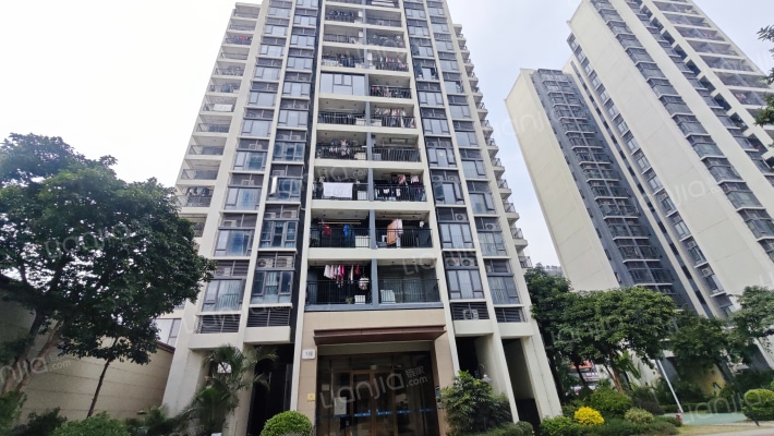 碧桂园水岸星城外景图