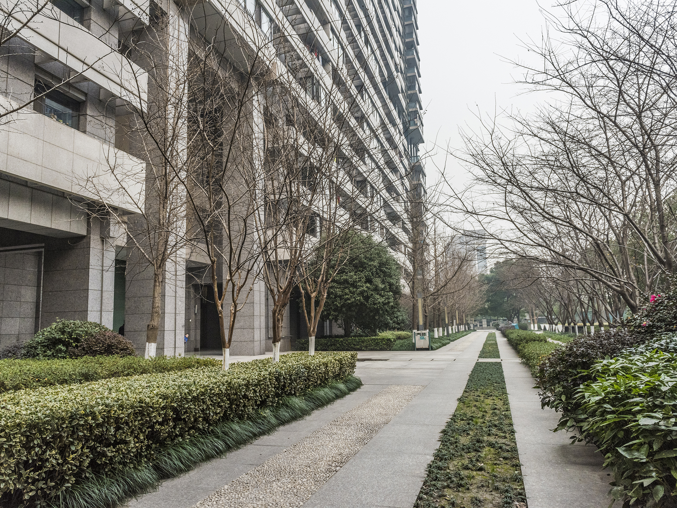 Jindu Matrix compound photo 15