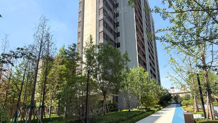 龙湖天璞外景图