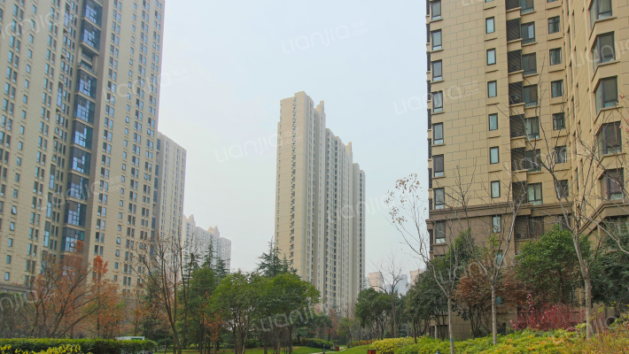 白桦林间外景图