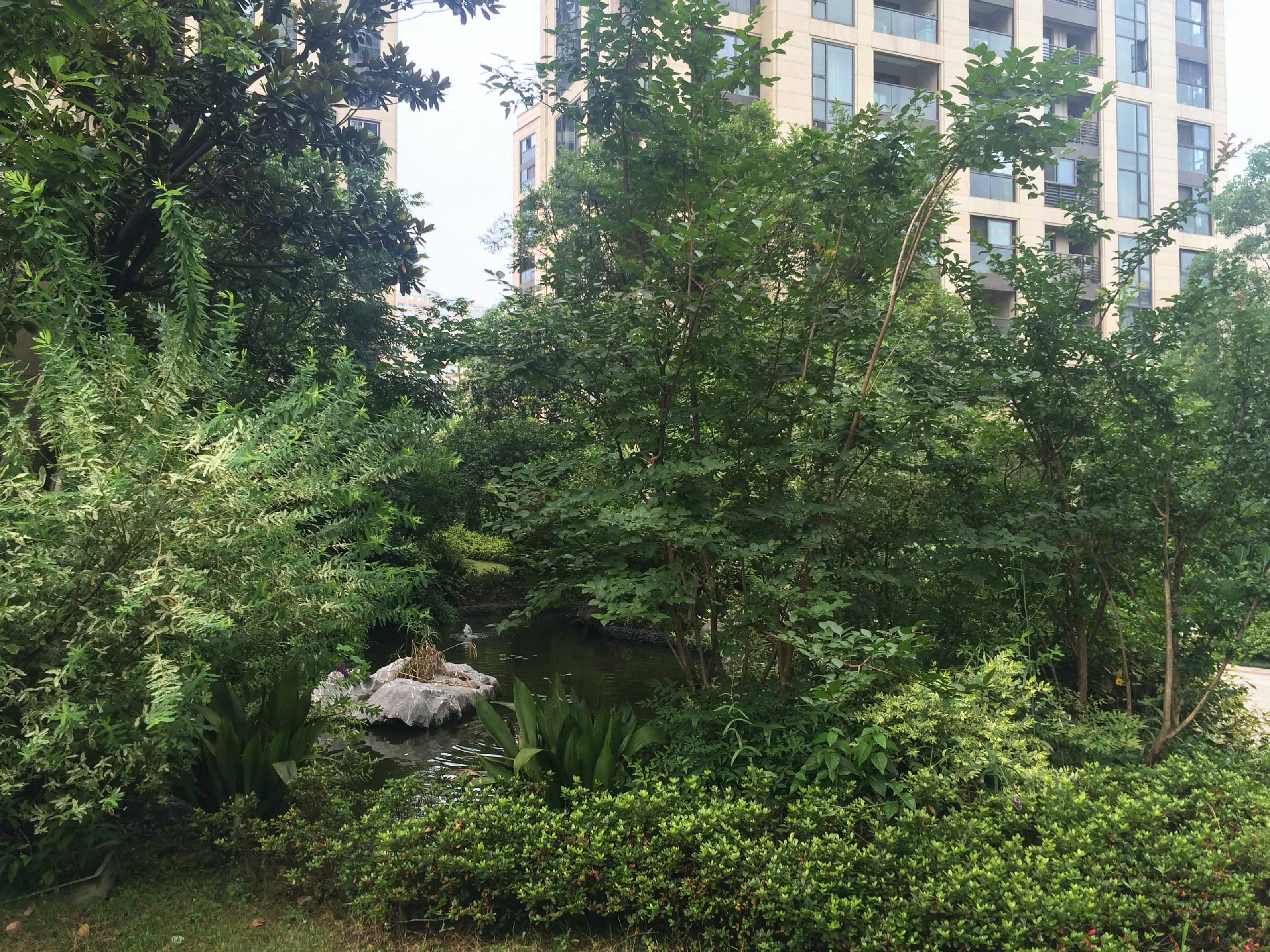 江南望庄小区实景 9