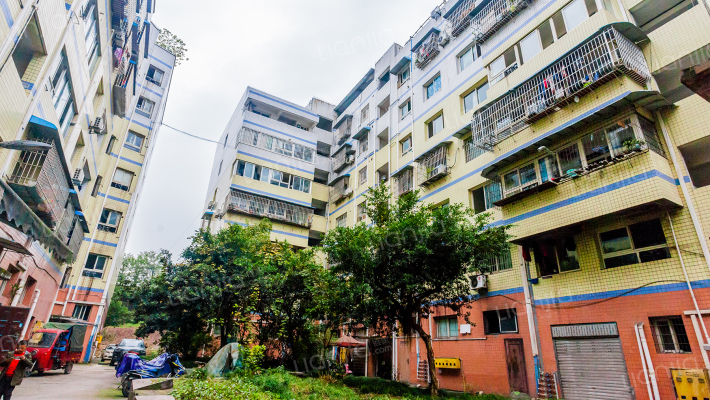 鸡冠石路3号外景图