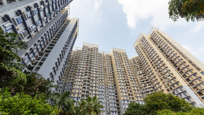 东浚荔景苑外景图