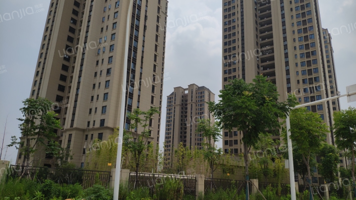 绿地城协子河畔D外景图