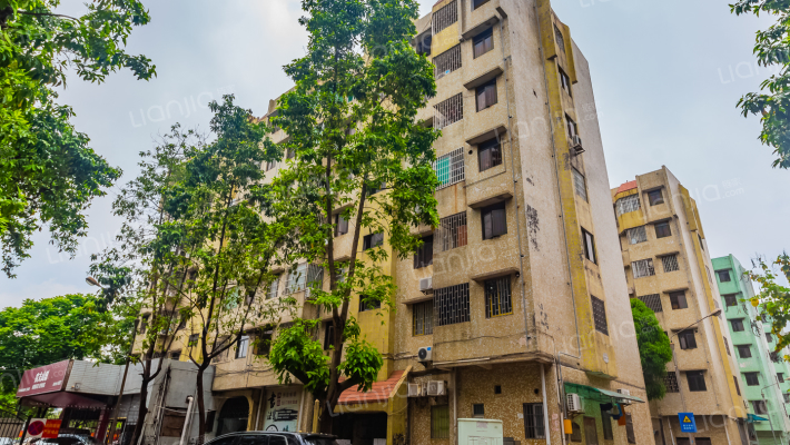 金菊花园外景图