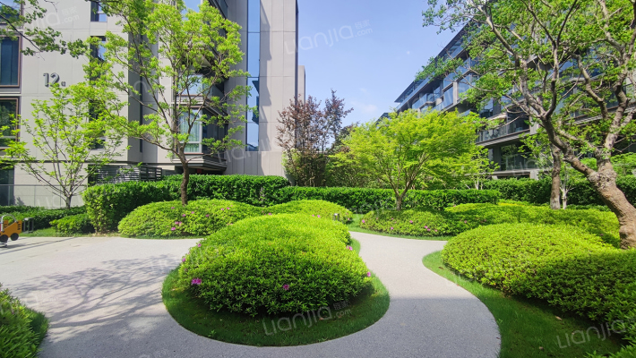 桃李湖滨外景图